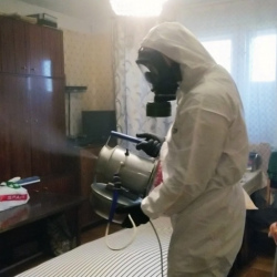 Дезинфекция от клопов в Пошехонье