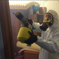 Уничтожение клопов в квартире. Пошехонье